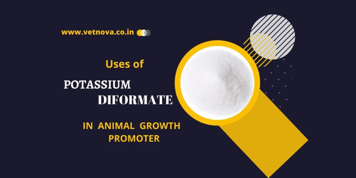 Uses of Potassium Diformate in Animal Growth Promoter