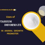 Uses of Potassium Diformate in Animal Growth Promoter