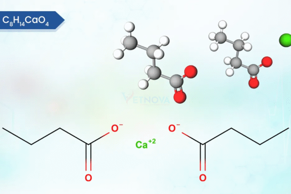 Calcium Butyrate - Vetnova
