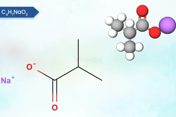 Sodium Isobutyrate - WBCIL