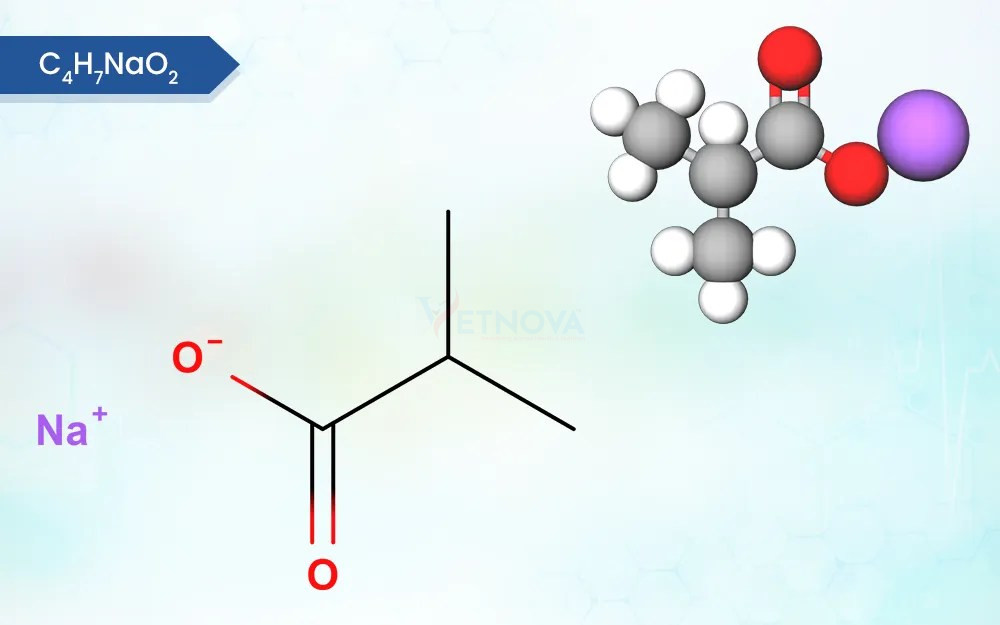 Sodium Isobutyrate - WBCIL