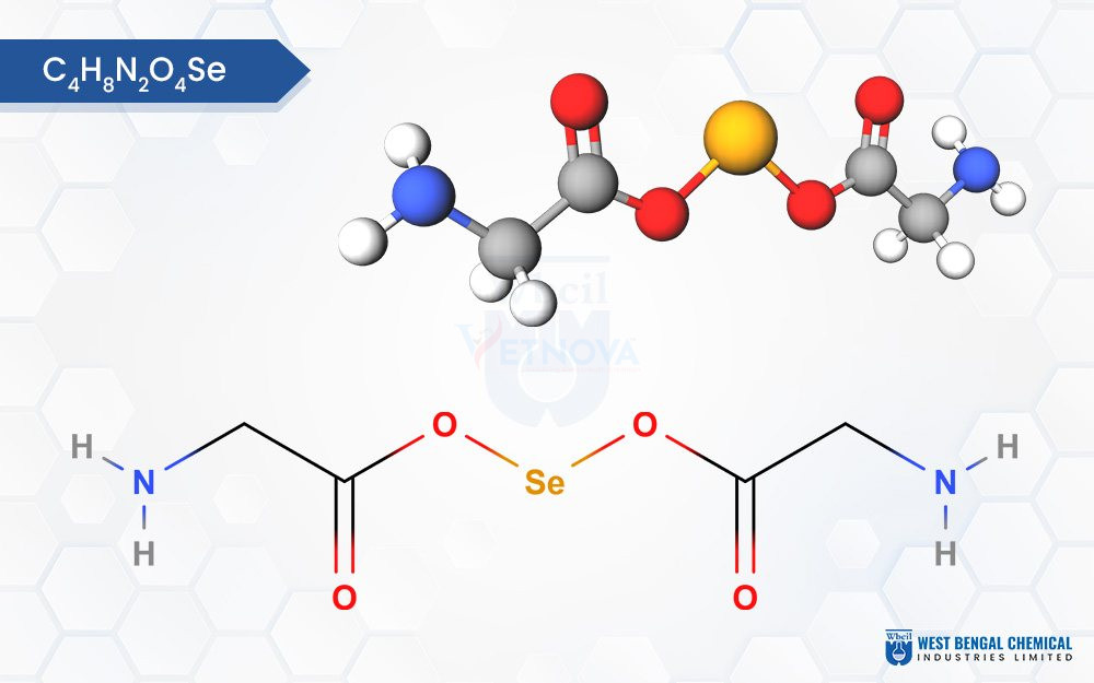 Chelated Selenium