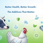 animal feed additives