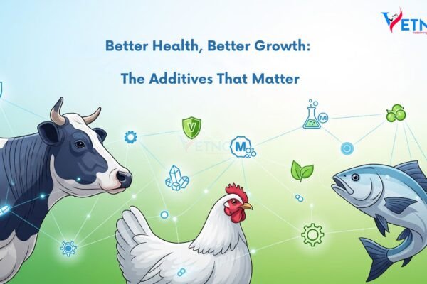 animal feed additives
