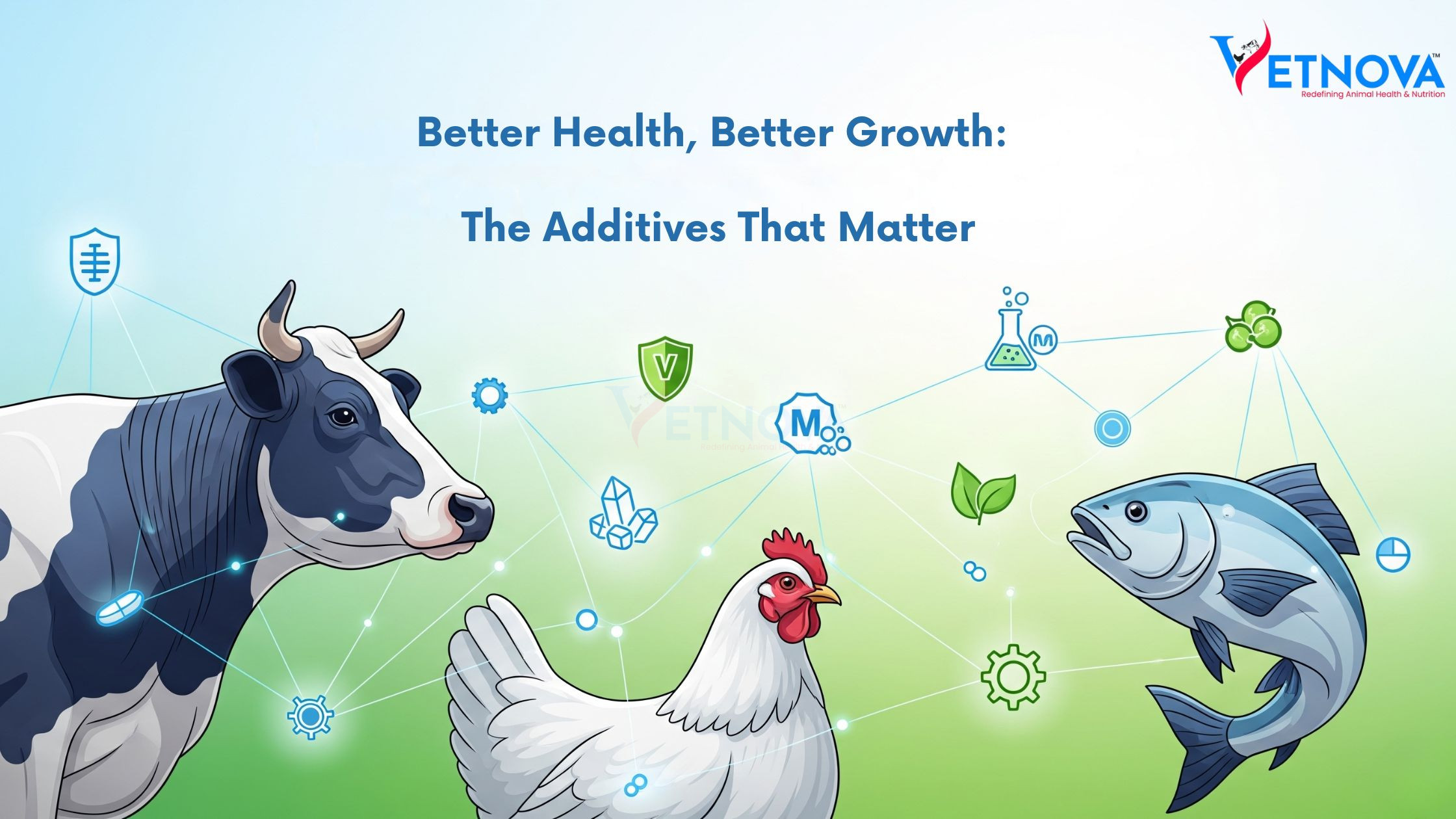 animal feed additives