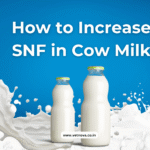 how to increase snf in cow milk