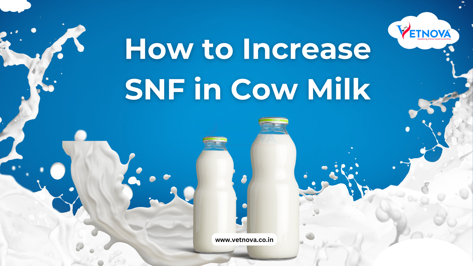 how to increase snf in cow milk