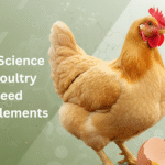 Poultry Feed Supplement