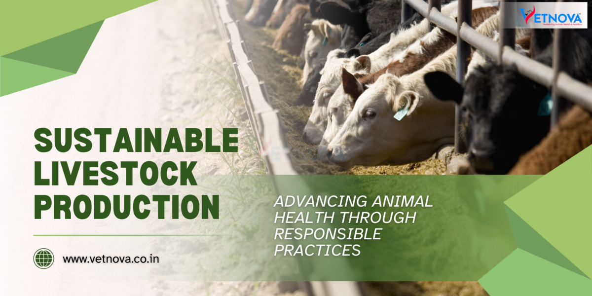 Sustainable Livestock Production