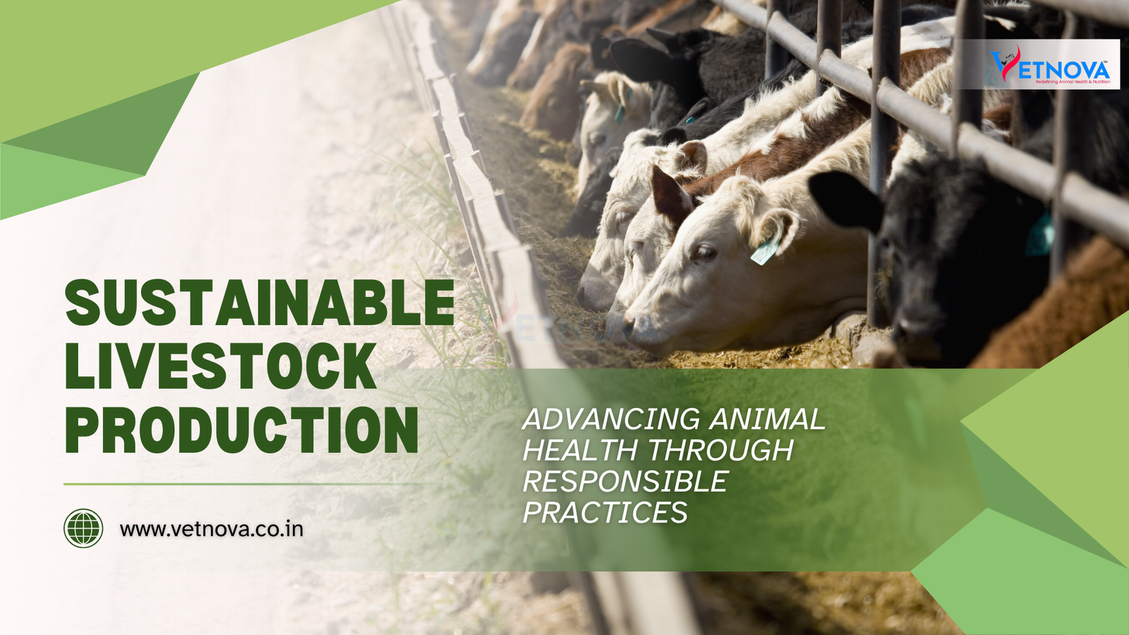 Sustainable Livestock Production
