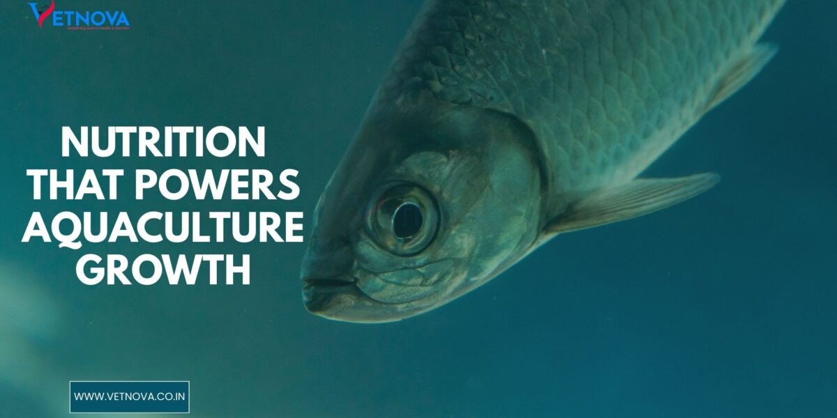 nutrition in aquaculture