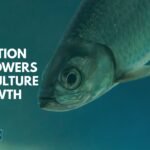 nutrition in aquaculture