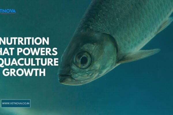 nutrition in aquaculture