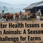 Winter Health Issues of Farm Animals