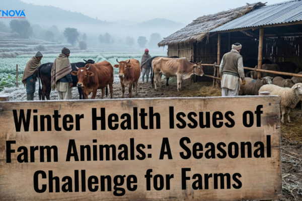 Winter Health Issues of Farm Animals