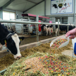 vitamins for milk production