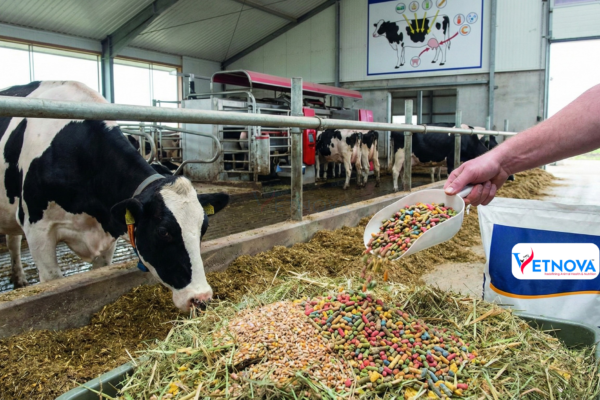 vitamins for milk production