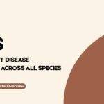 Disease outbreak prediction