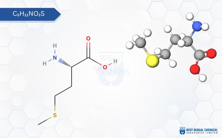 Rumen Protected Methionine