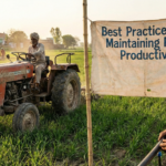 farm productivity