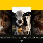 performance recovery