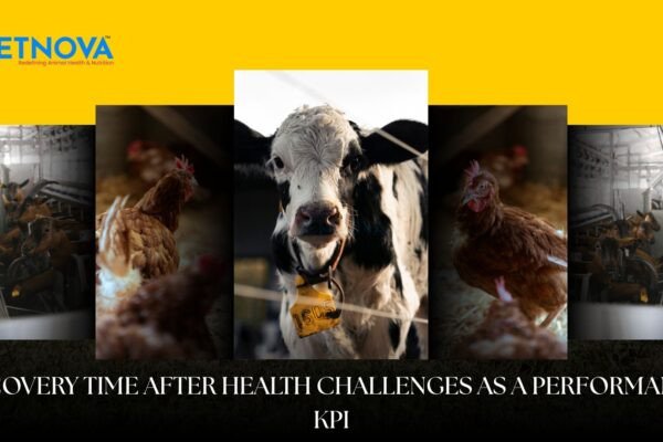 performance recovery