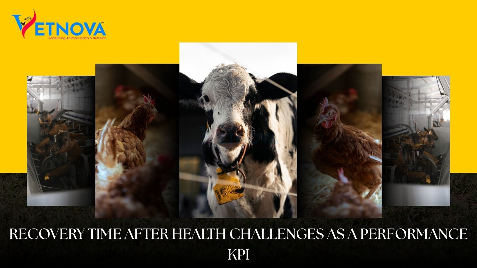 performance recovery