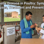 Newcastle Disease in Poultry